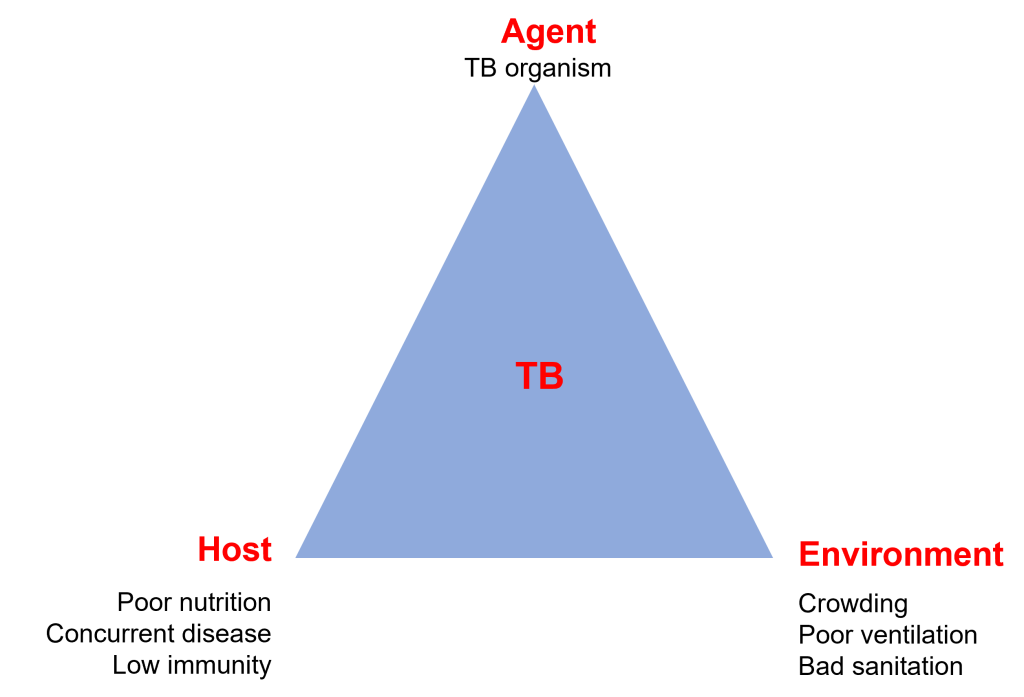 Epidemiological Triad Of TB Knowledge Base
