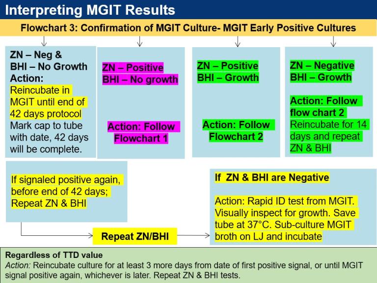 Confirmation of MGIT culture
