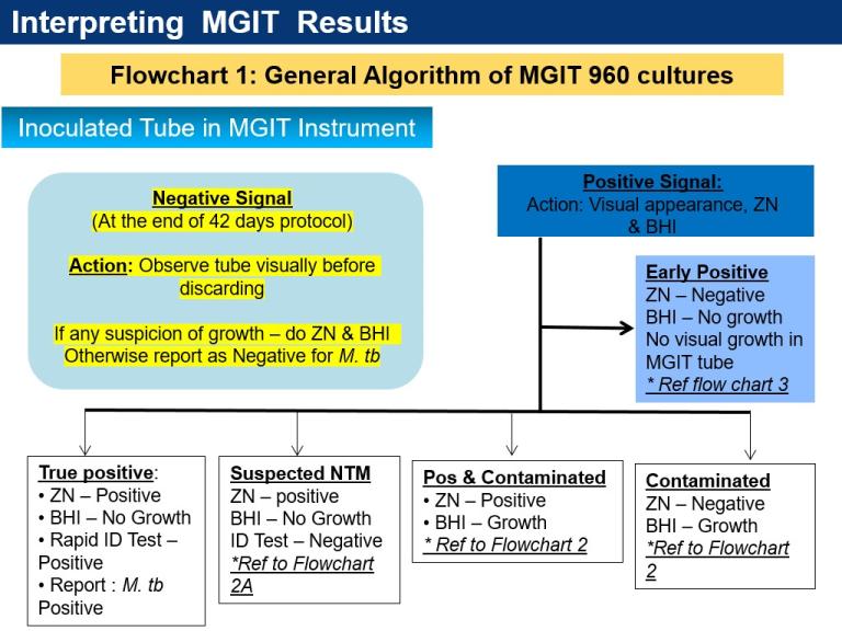 General Algorithm of MGIT 960 cultures