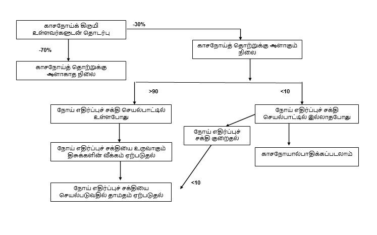 Progression to TB Disease - Tamil