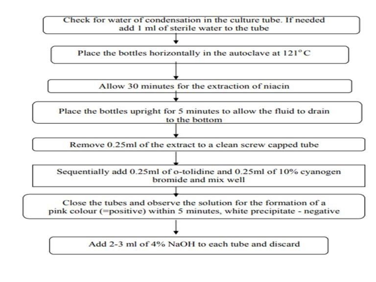 niaci test procedure