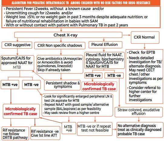 Algo paediatric TB.jpg