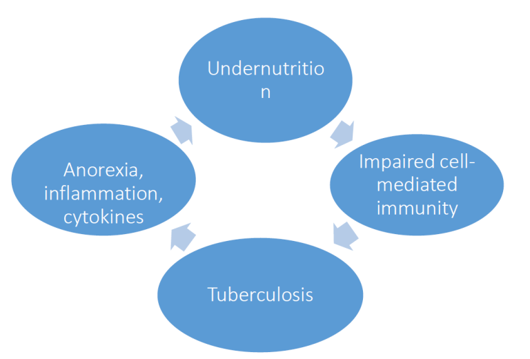 Vicious cycle of malnutrition and TB